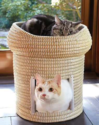 Pet_Collection